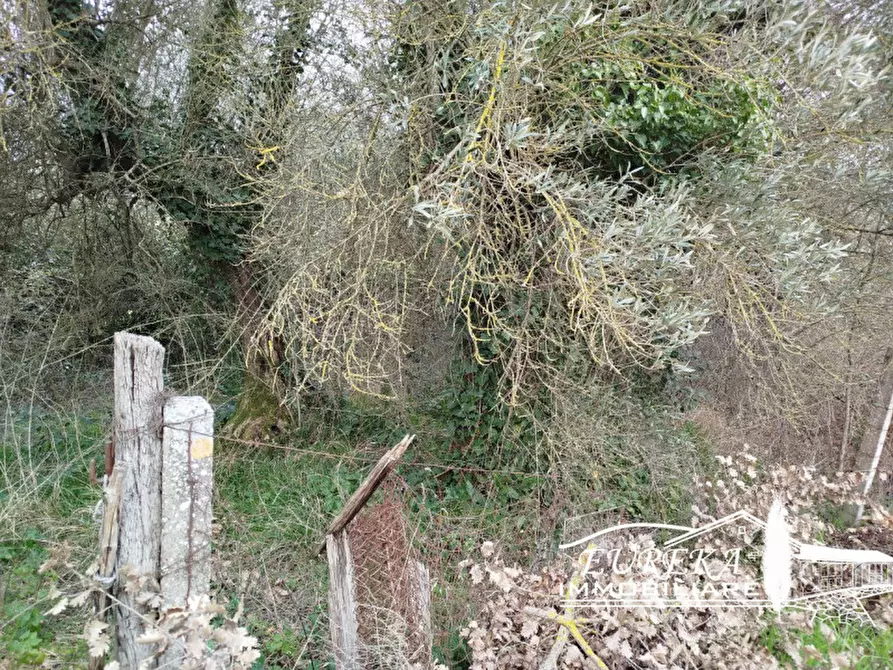 Immagine 43 di Villetta a schiera in vendita  in località pucciarelli a Castiglione Del Lago