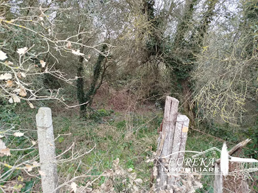 Immagine 44 di Villetta a schiera in vendita  in località pucciarelli a Castiglione Del Lago