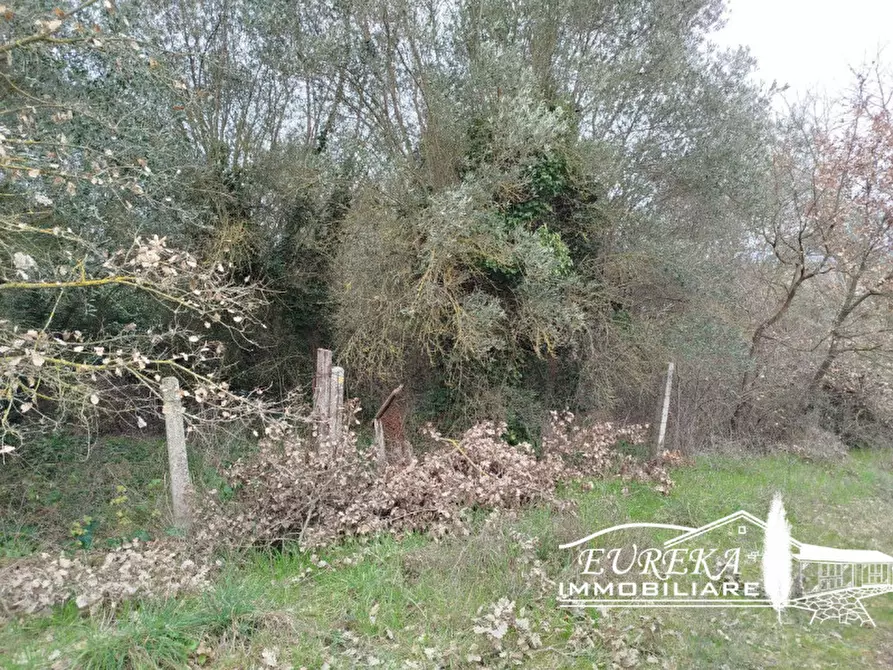 Immagine 45 di Villetta a schiera in vendita  in località pucciarelli a Castiglione Del Lago