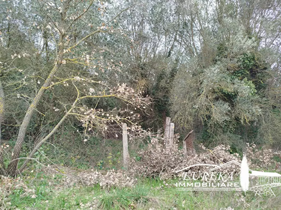 Immagine 46 di Villetta a schiera in vendita  in località pucciarelli a Castiglione Del Lago