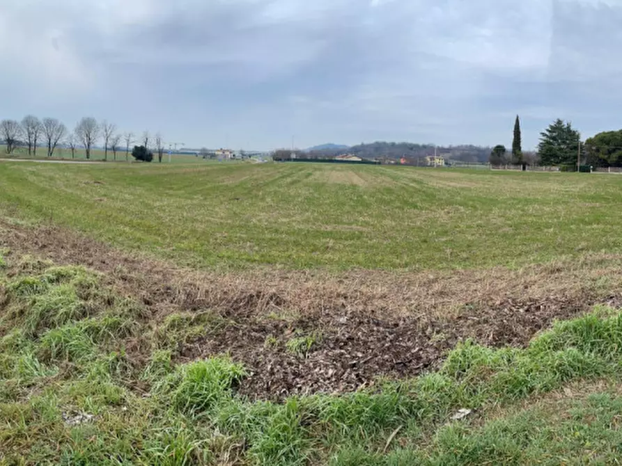 Immagine 3 di Terreno in vendita  in SP8 a Solferino