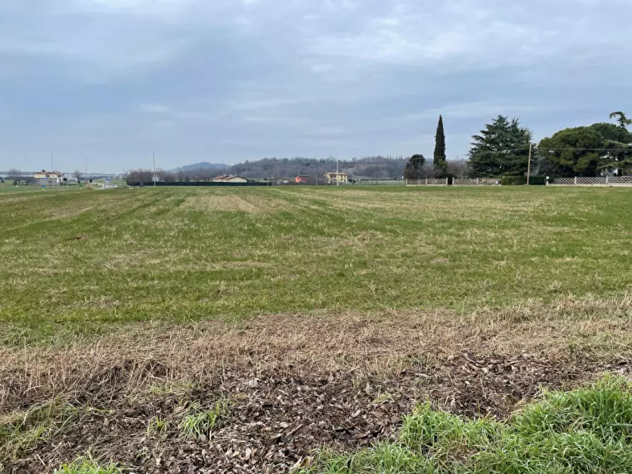 Immagine 5 di Terreno in vendita  in SP8 a Solferino