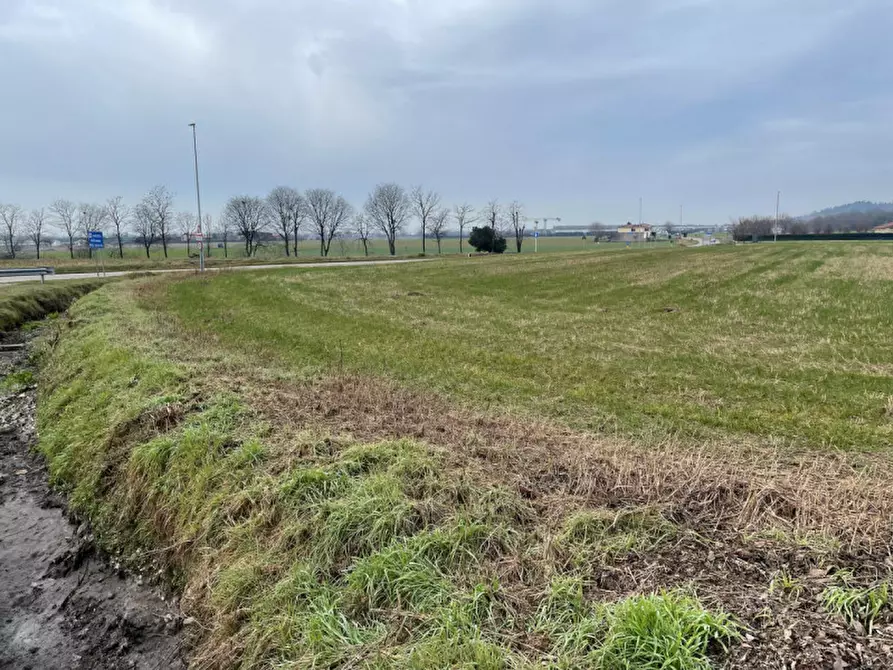 Immagine 6 di Terreno in vendita  in SP8 a Solferino