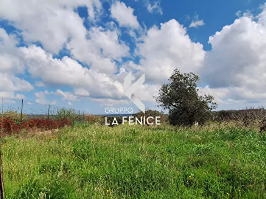 Immagine 50 di Rustico / casale in vendita  in contrada Guaguino a Alberobello