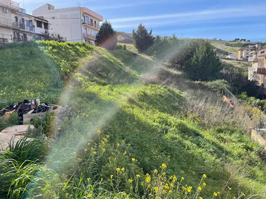 Immagine 4 di Terreno in vendita  in Via della Spiga 40 a Marineo