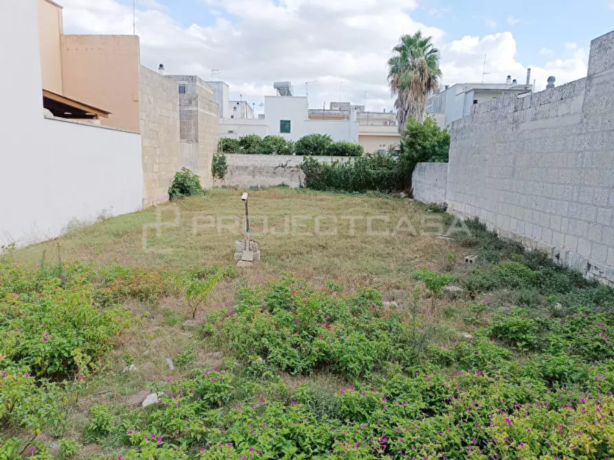 Immagine 3 di Terreno in vendita  in via San Vito a Scorrano