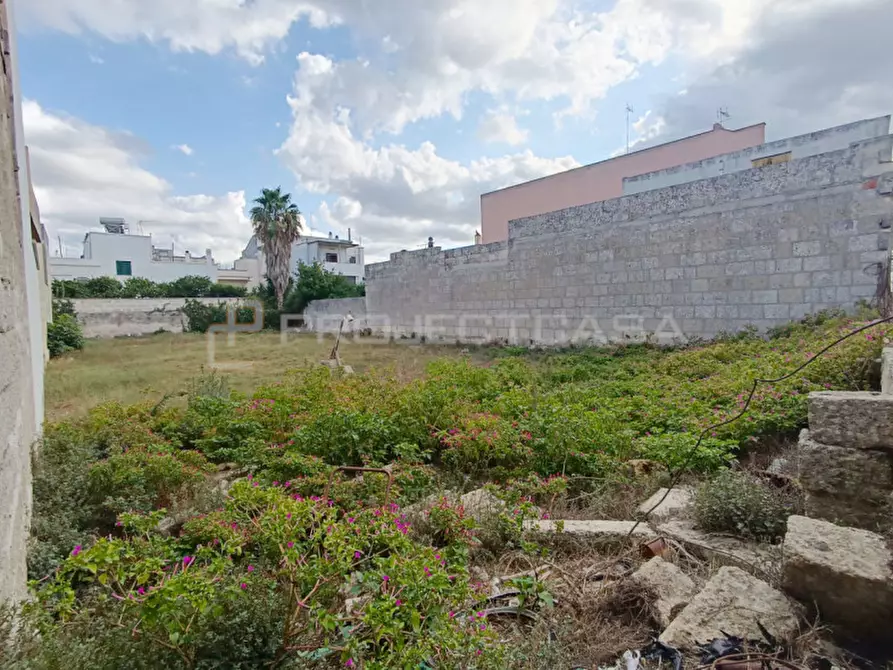 Immagine 4 di Terreno in vendita  in via San Vito a Scorrano