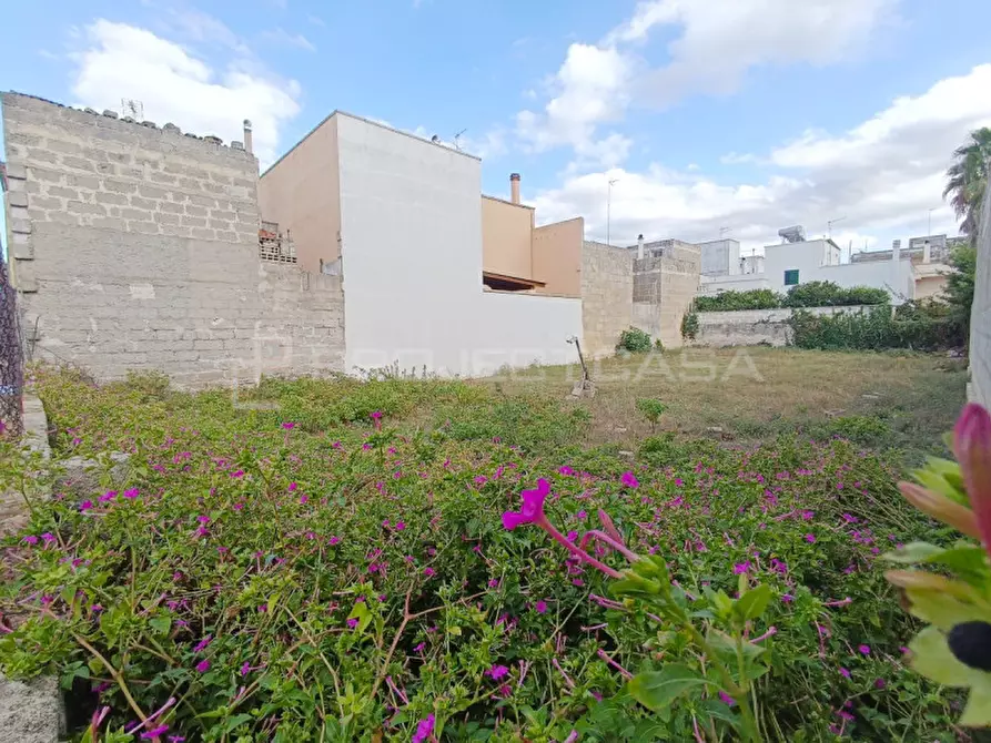 Immagine 5 di Terreno in vendita  in via San Vito a Scorrano