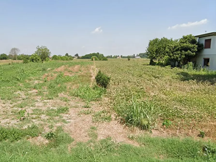 Immagine 2 di Terreno in vendita  in VIA MOLETTE a Ponso