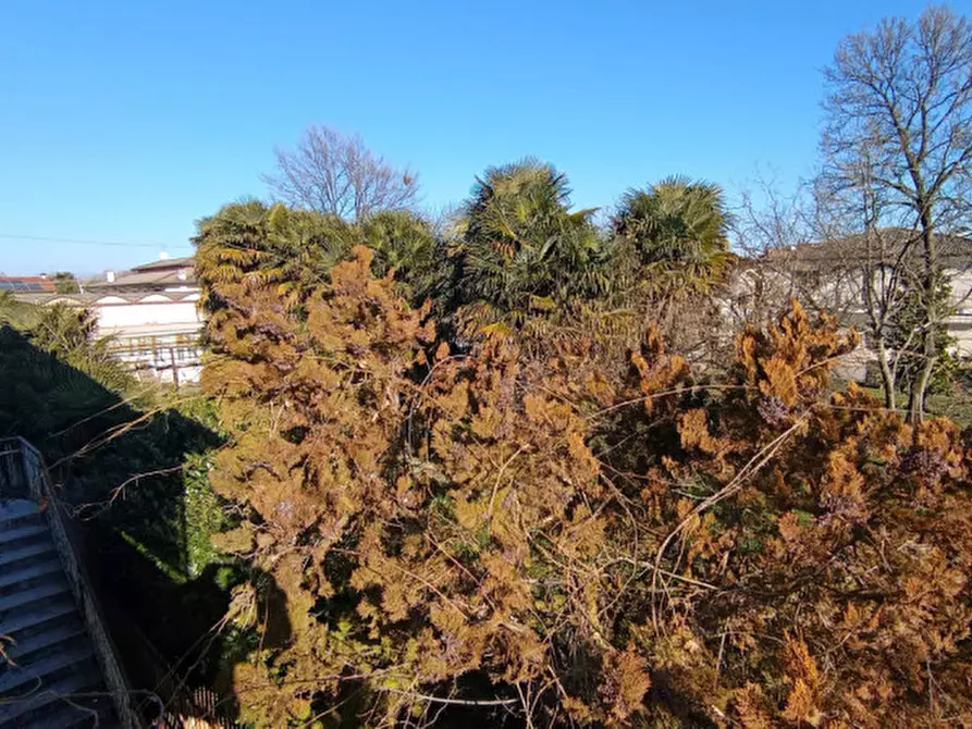 Immagine 8 di Terreno in vendita  in Via Martiri della Libertà a Piazzola Sul Brenta