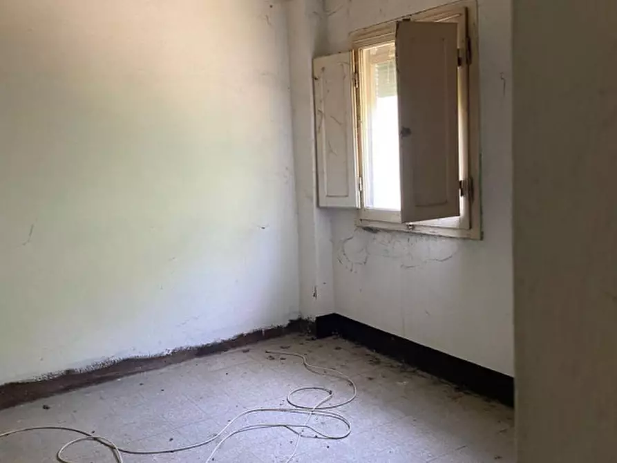 Immagine 4 di Rustico / casale in vendita  in Pruneto a San Giovanni Valdarno