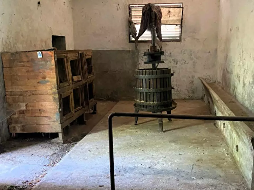 Immagine 7 di Rustico / casale in vendita  in Pruneto a San Giovanni Valdarno