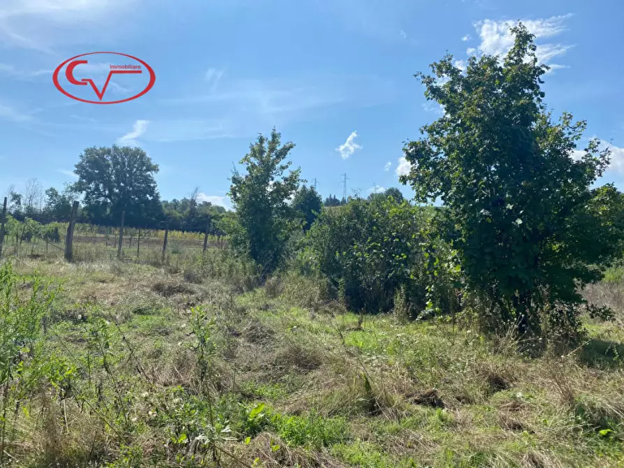 Immagine 11 di Rustico / casale in vendita  in Pruneto a San Giovanni Valdarno