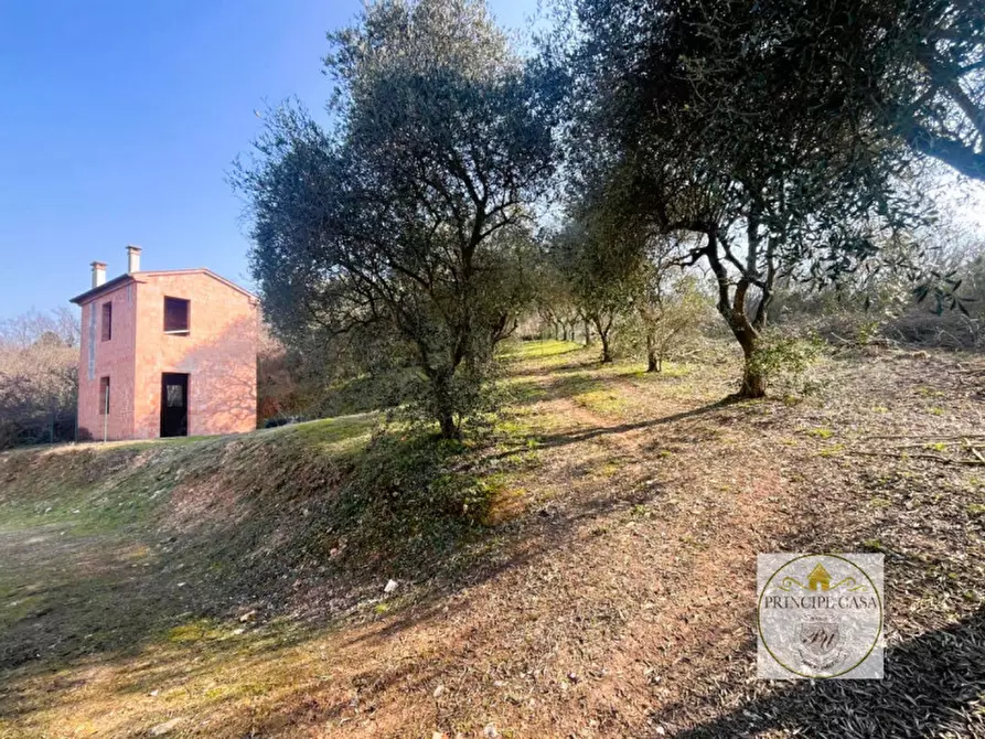 Immagine 11 di Casa indipendente in vendita  a Lozzo Atestino