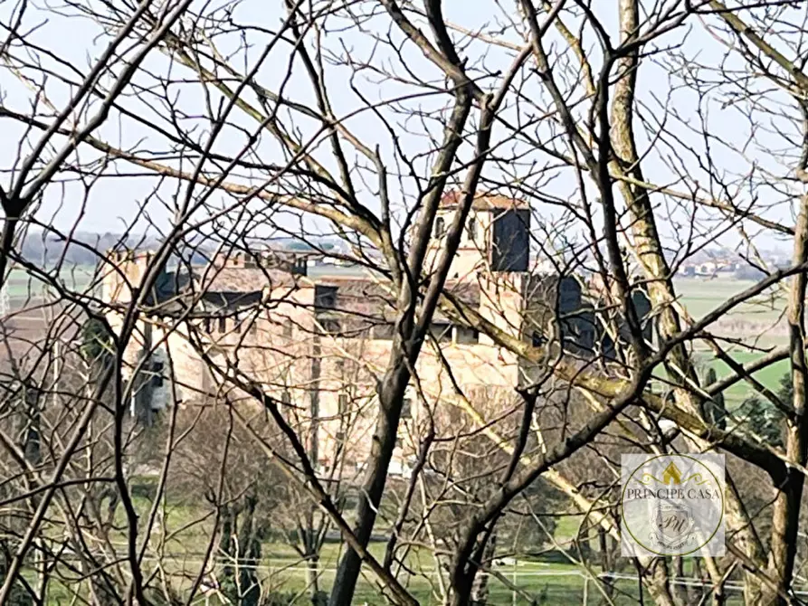 Immagine 22 di Casa indipendente in vendita  a Lozzo Atestino