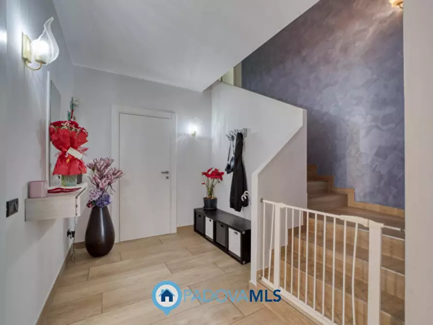 Immagine 21 di Villa in vendita  in Via San Gregorio Barbarigo a Vigonza