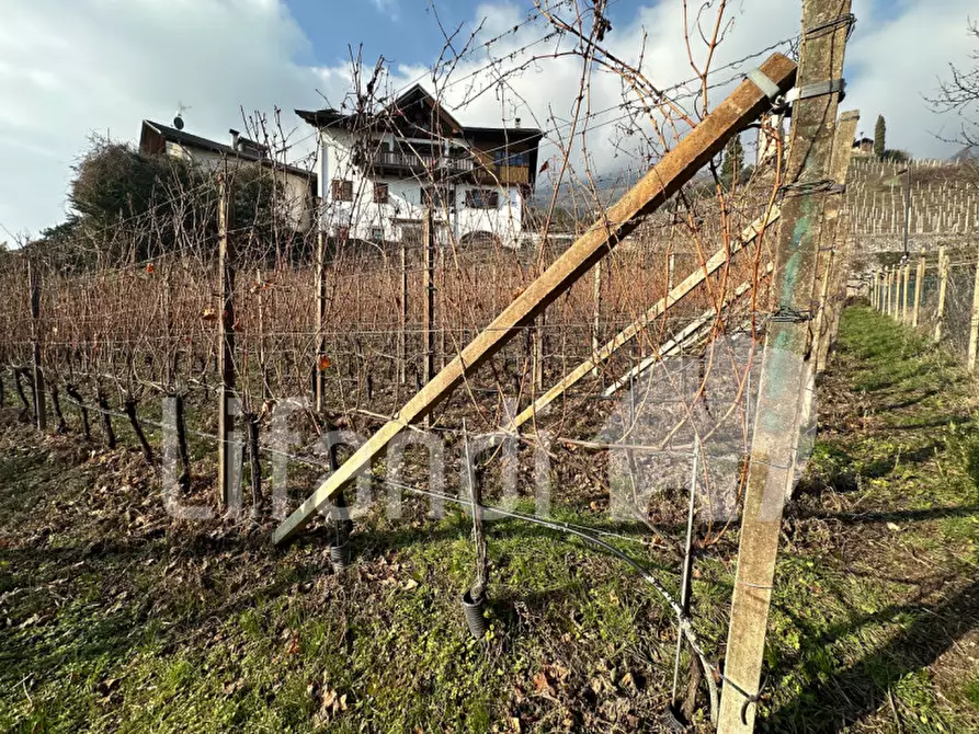 Immagine 19 di Casa indipendente in vendita  a Termeno Sulla Strada Del Vino .Tramin An Der.