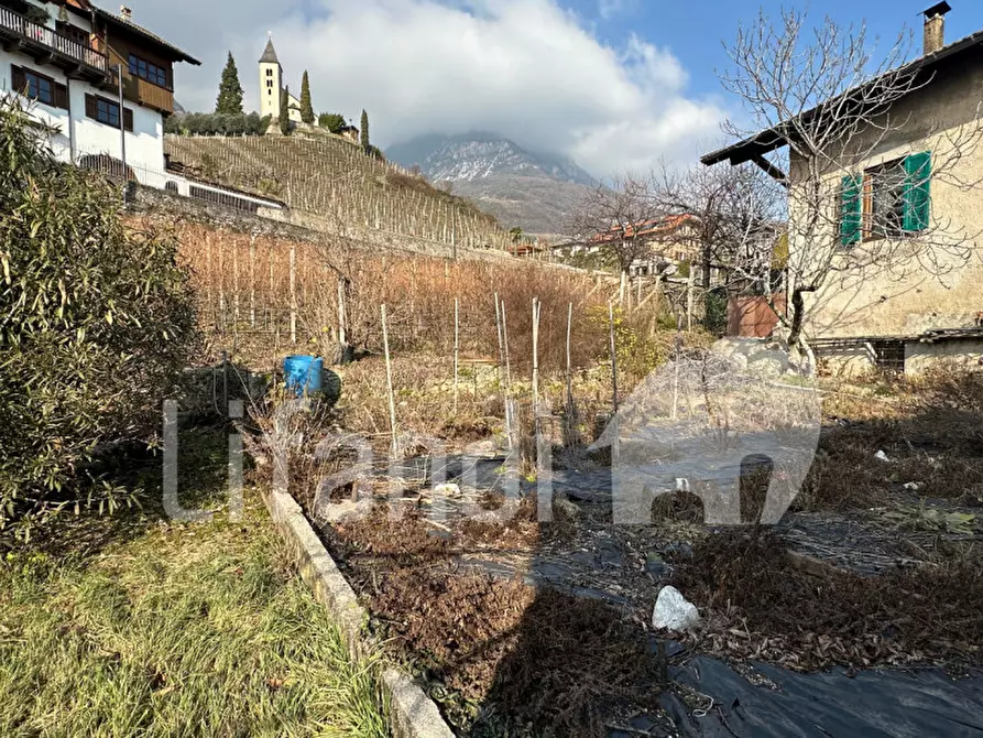Immagine 21 di Casa indipendente in vendita  a Termeno Sulla Strada Del Vino .Tramin An Der.