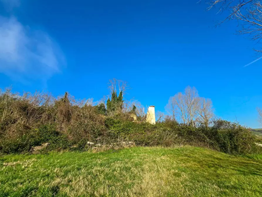 Immagine 2 di Rustico / casale in vendita  in Ca' Angelino a Sassocorvaro Auditore