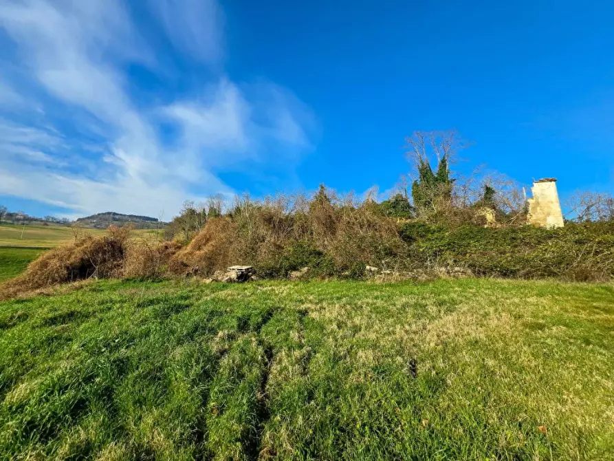 Immagine 3 di Rustico / casale in vendita  in Ca' Angelino a Sassocorvaro Auditore