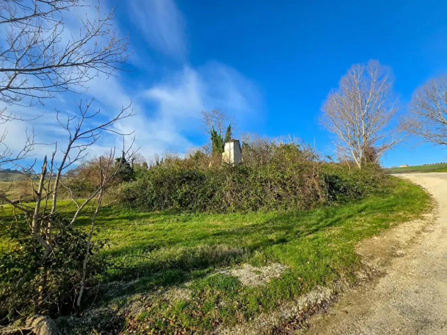 Immagine 4 di Rustico / casale in vendita  in Ca' Angelino a Sassocorvaro Auditore