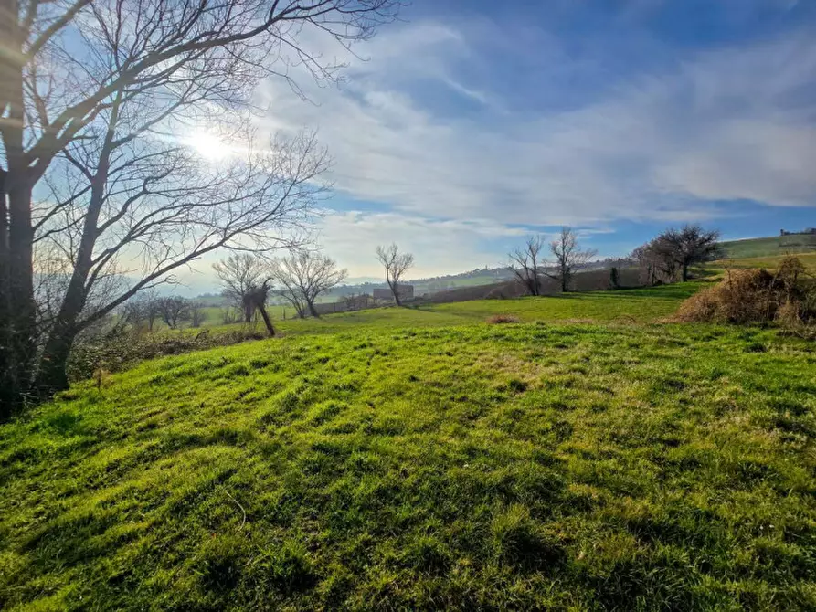 Immagine 5 di Rustico / casale in vendita  in Ca' Angelino a Sassocorvaro Auditore