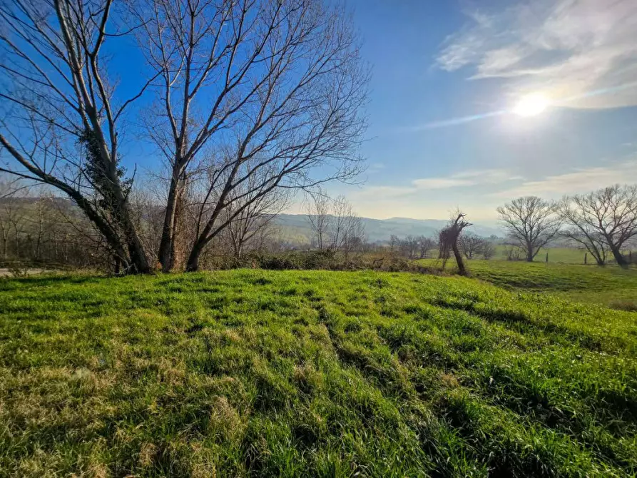 Immagine 6 di Rustico / casale in vendita  in Ca' Angelino a Sassocorvaro Auditore