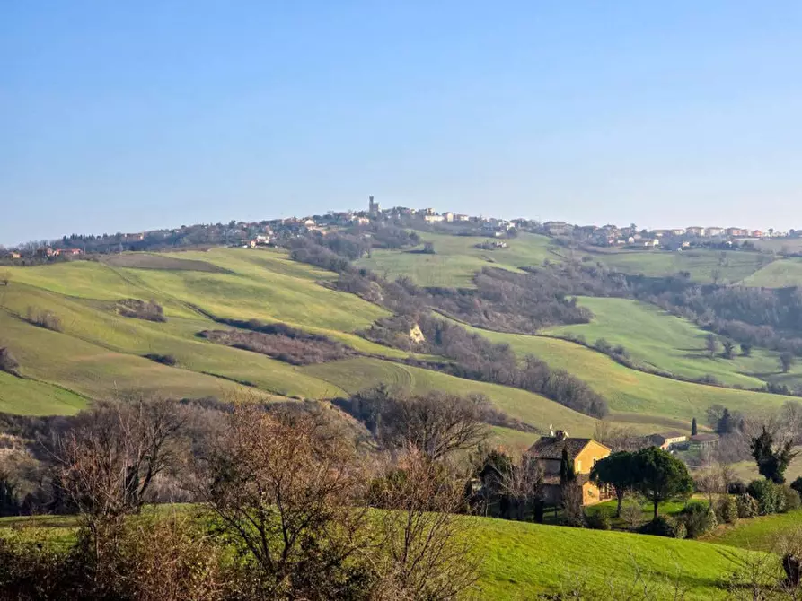 Immagine 7 di Rustico / casale in vendita  in Ca' Angelino a Sassocorvaro Auditore