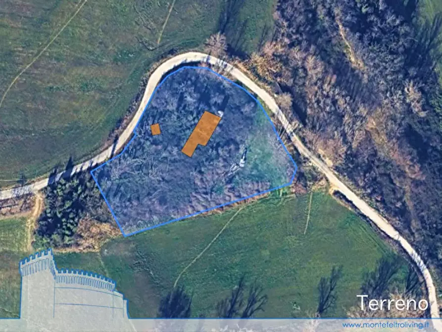 Immagine 8 di Rustico / casale in vendita  in Ca' Angelino a Sassocorvaro Auditore