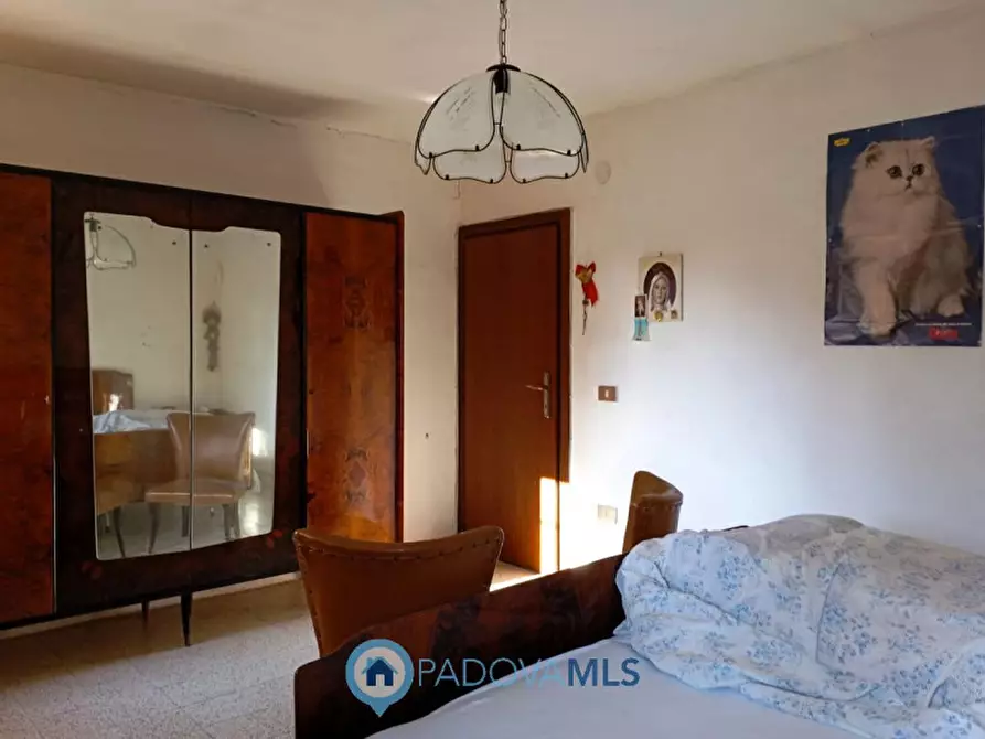 Immagine 18 di Casa indipendente in vendita  in Via Borgo Sud a San Martino Di Venezze