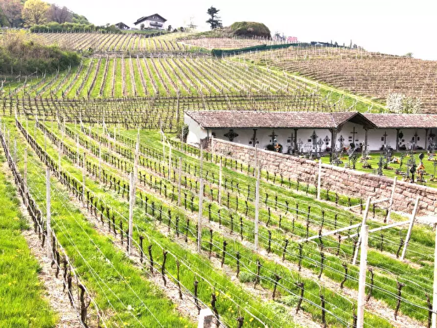 Immagine 6 di Terreno in vendita  in Via Castel Firmiano - Sigmundskroner Straße a Appiano Sulla Strada Del Vino .Eppan An Der.