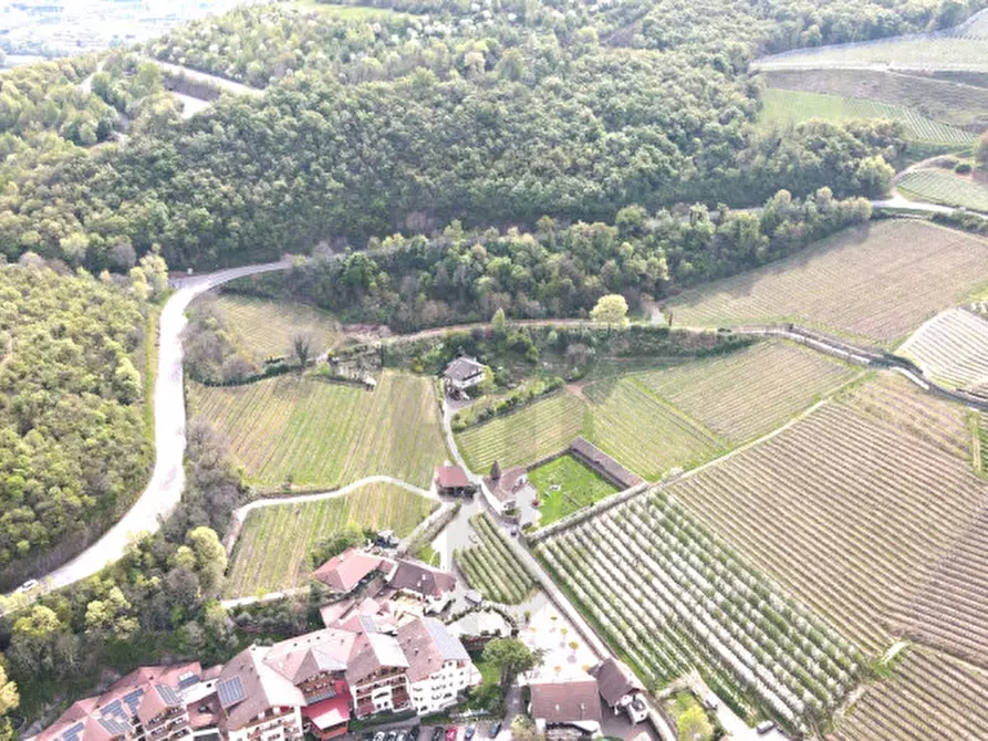 Immagine 8 di Terreno in vendita  in Via Castel Firmiano - Sigmundskroner Straße a Appiano Sulla Strada Del Vino .Eppan An Der.