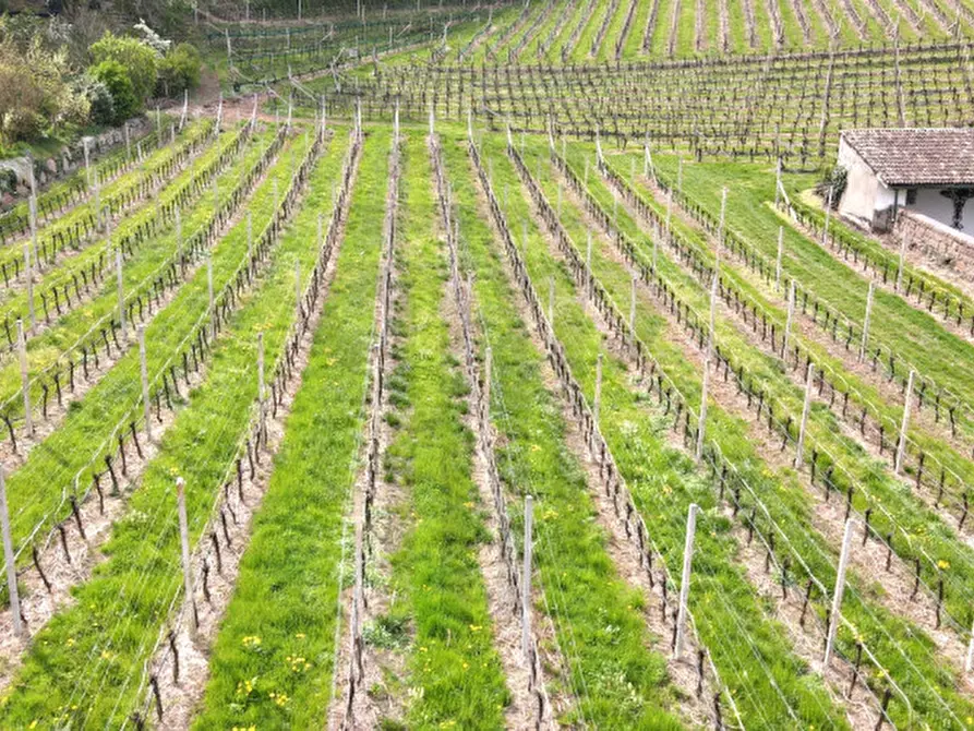 Immagine 10 di Terreno in vendita  in Via Castel Firmiano - Sigmundskroner Straße a Appiano Sulla Strada Del Vino .Eppan An Der.