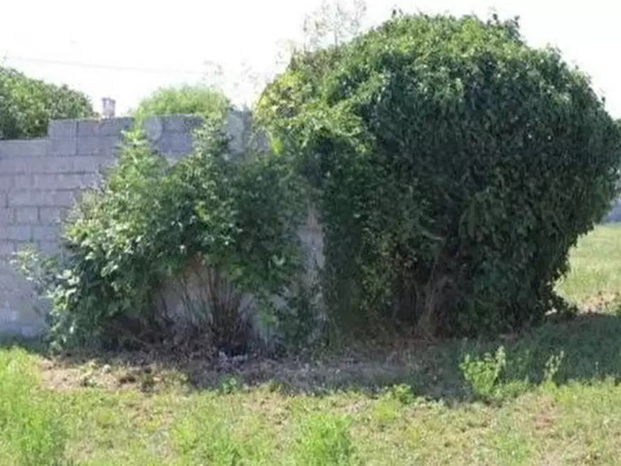 Immagine 6 di Casa indipendente in vendita  in Via Giai, 22 a Annone Veneto