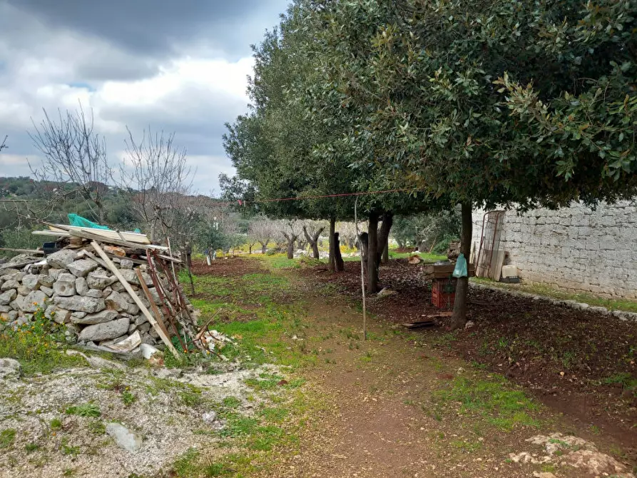 Immagine 20 di Rustico / casale in vendita  in C.da Zingariello a Ostuni