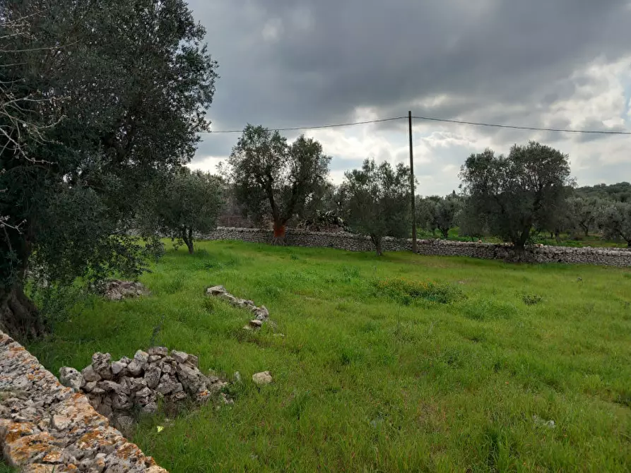 Immagine 21 di Rustico / casale in vendita  in C.da Zingariello a Ostuni
