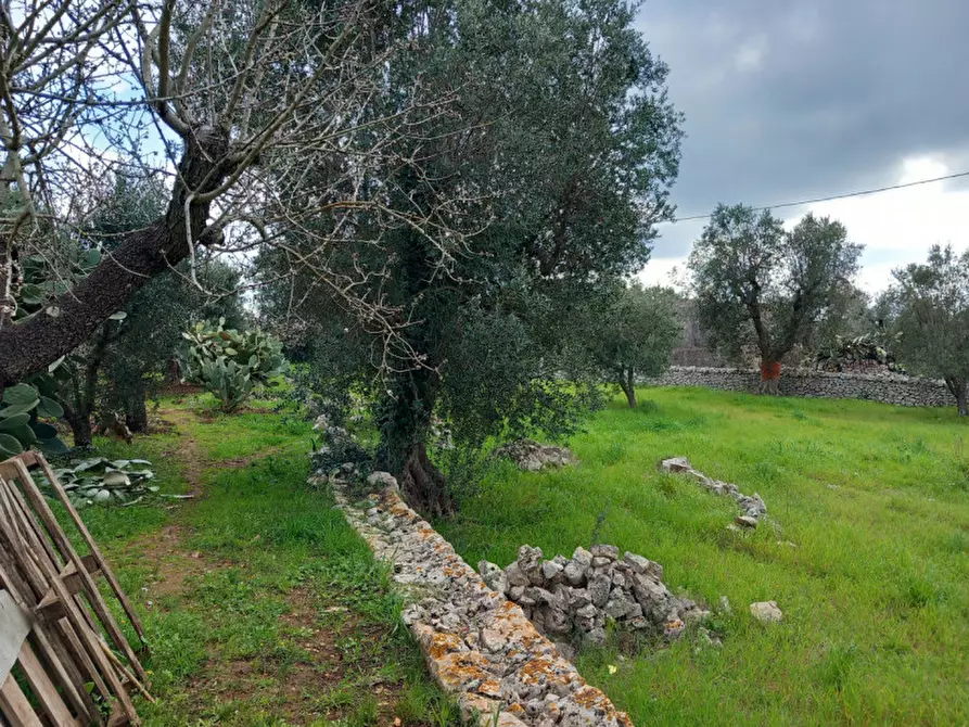 Immagine 22 di Rustico / casale in vendita  in C.da Zingariello a Ostuni