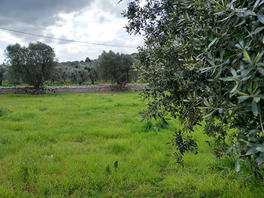 Immagine 23 di Rustico / casale in vendita  in C.da Zingariello a Ostuni