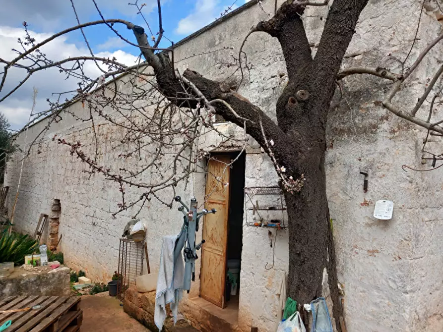 Immagine 24 di Rustico / casale in vendita  in C.da Zingariello a Ostuni