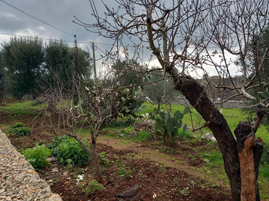 Immagine 25 di Rustico / casale in vendita  in C.da Zingariello a Ostuni