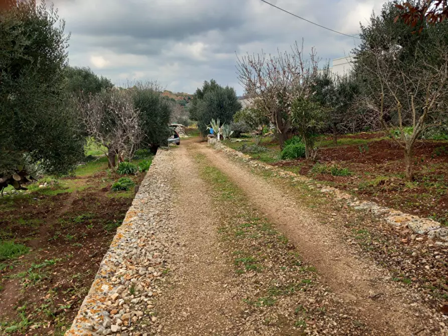Immagine 28 di Rustico / casale in vendita  in C.da Zingariello a Ostuni