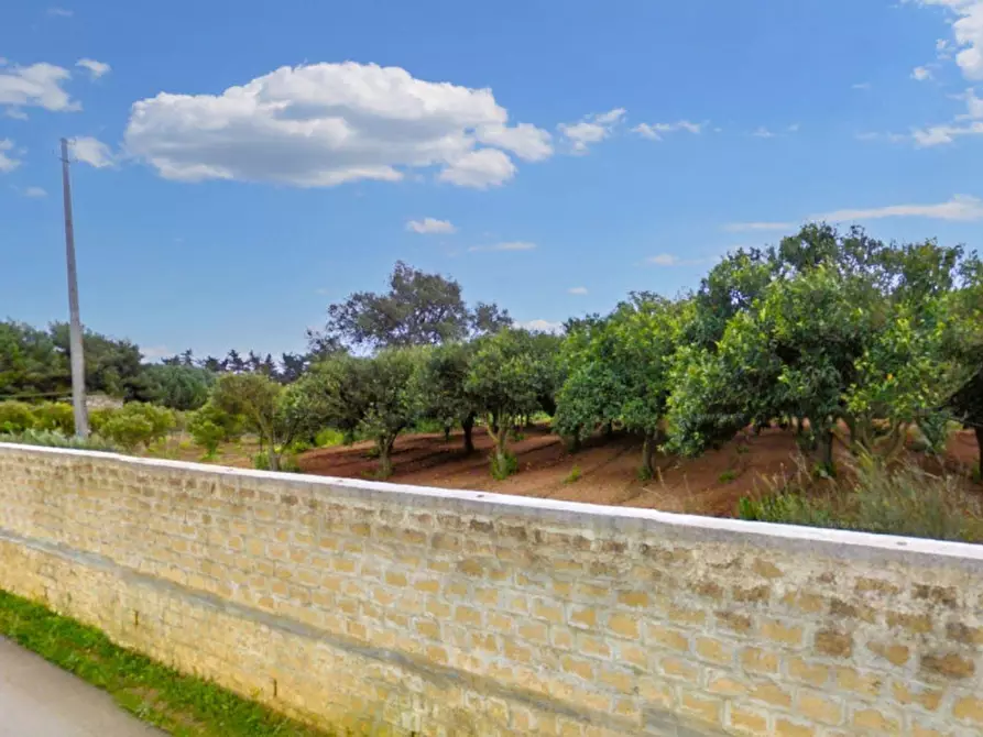 Immagine 4 di Terreno in vendita  in Loc. Canalotto - Via Bresciana, N. snc a Castelvetrano