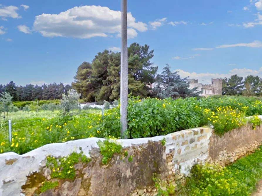 Immagine 6 di Terreno in vendita  in Loc. Canalotto - Via Bresciana, N. snc a Castelvetrano