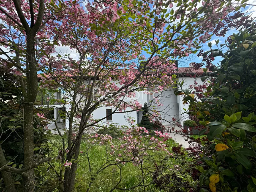 Immagine 8 di Villa in vendita  in via Cima Mandria a Montebelluna