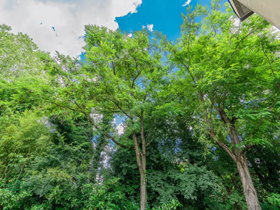 Immagine 3 di Villa in vendita  in via san lorenzo a Sasso Marconi