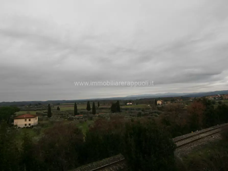 Immagine 7 di Appartamento in vendita  a Rapolano Terme