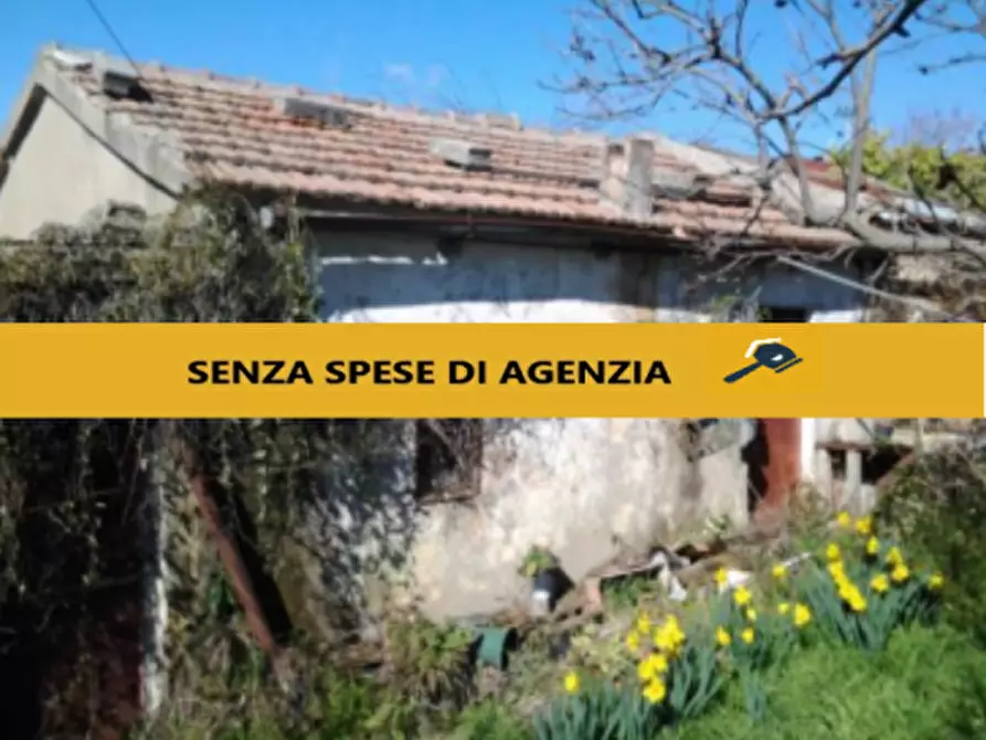 Immagine 2 di Magazzino in vendita  in Contrada Settanni a Pietragalla