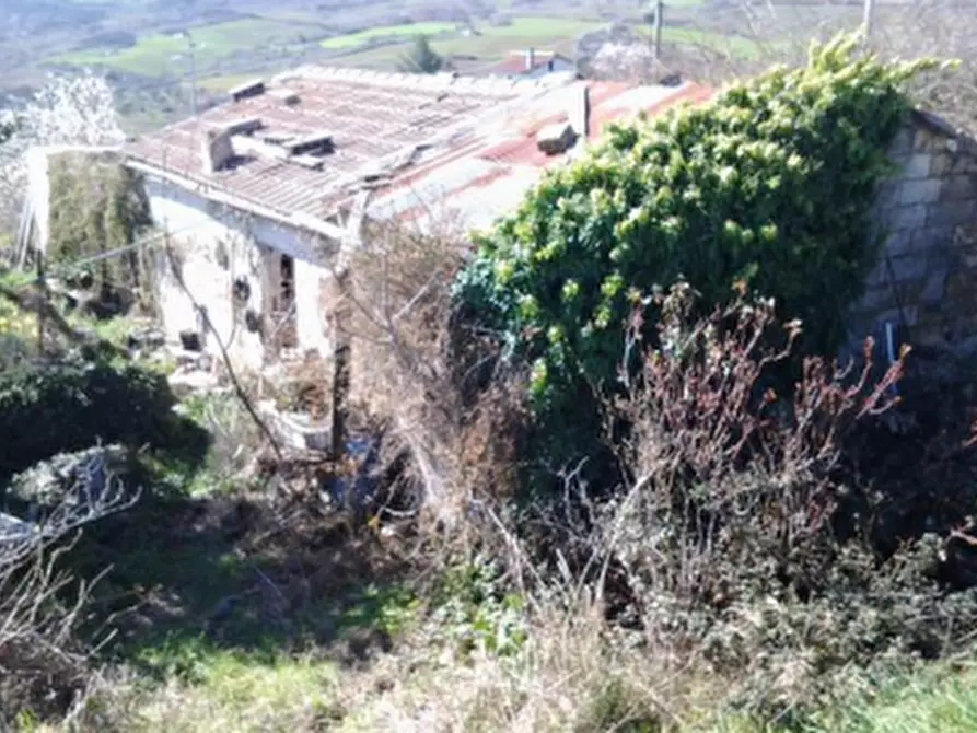 Immagine 4 di Magazzino in vendita  in Contrada Settanni a Pietragalla