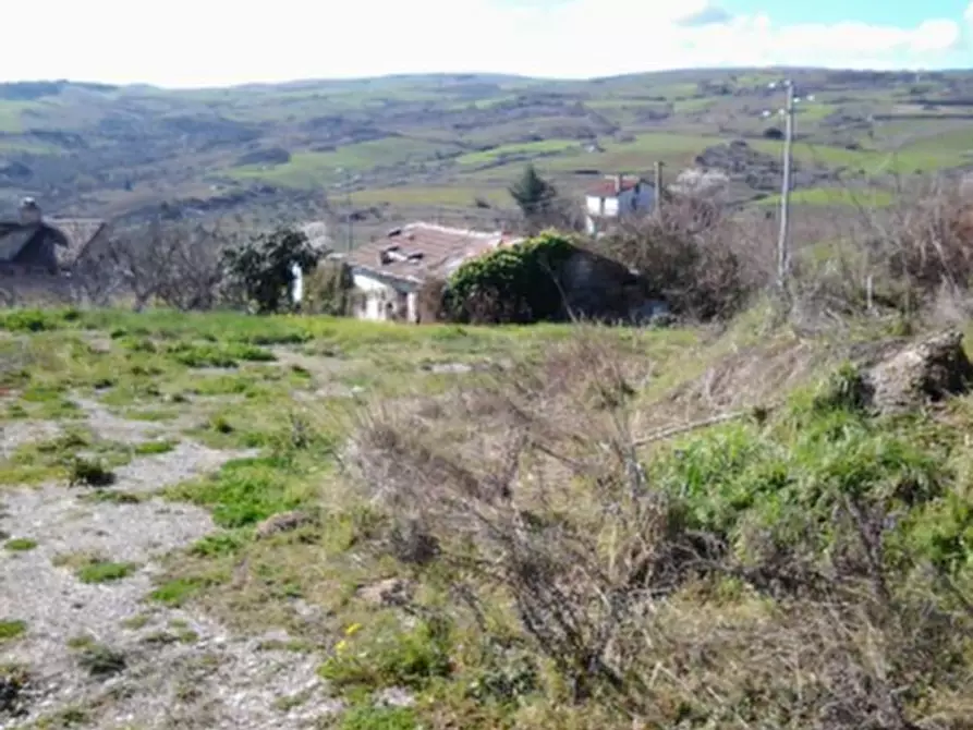 Immagine 5 di Magazzino in vendita  in Contrada Settanni a Pietragalla