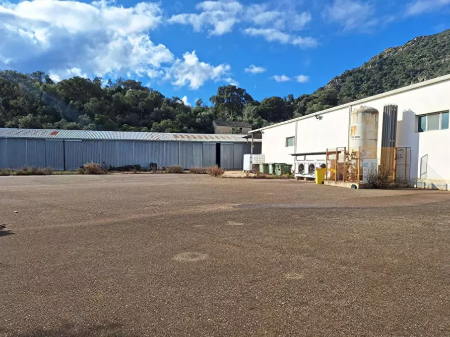 Immagine 10 di Capannone industriale in vendita  in Regione Funtana COperta, N. snc a Guspini